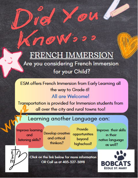 Did You Know French Immersion