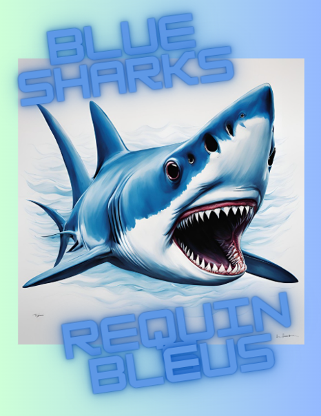Blue Sharks Bilingual