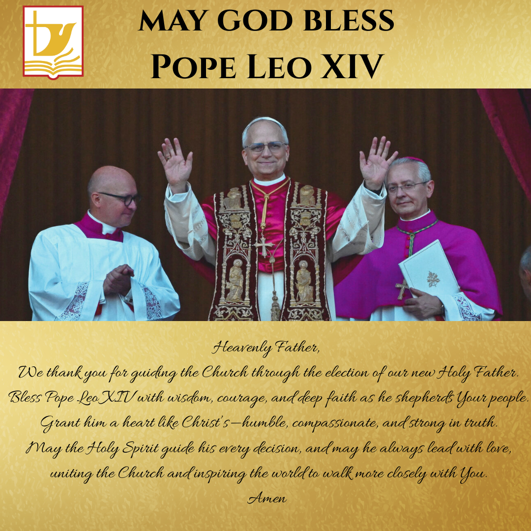 Pope Leo Graphic