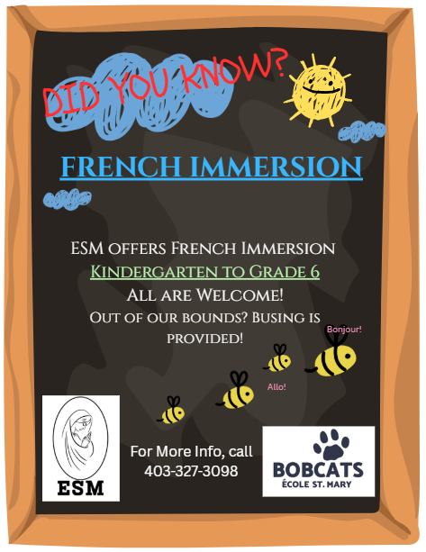 DId You Know Immersion Poster 2026