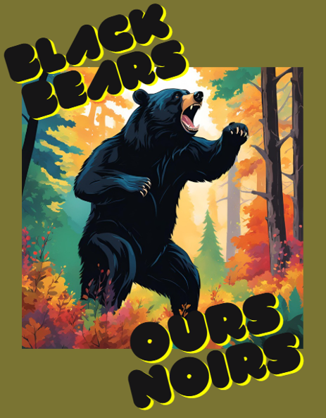 Black Bears Bilingual